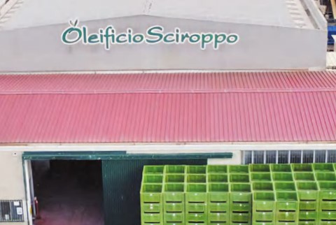 SCIROPPO s.r.l.